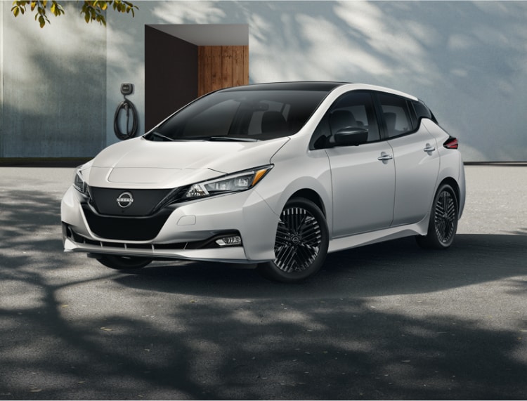 2025-LEAF