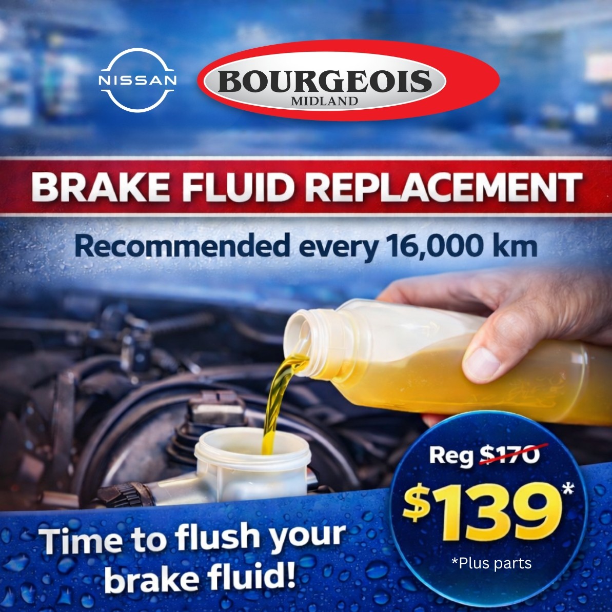 Brake Fluid Special